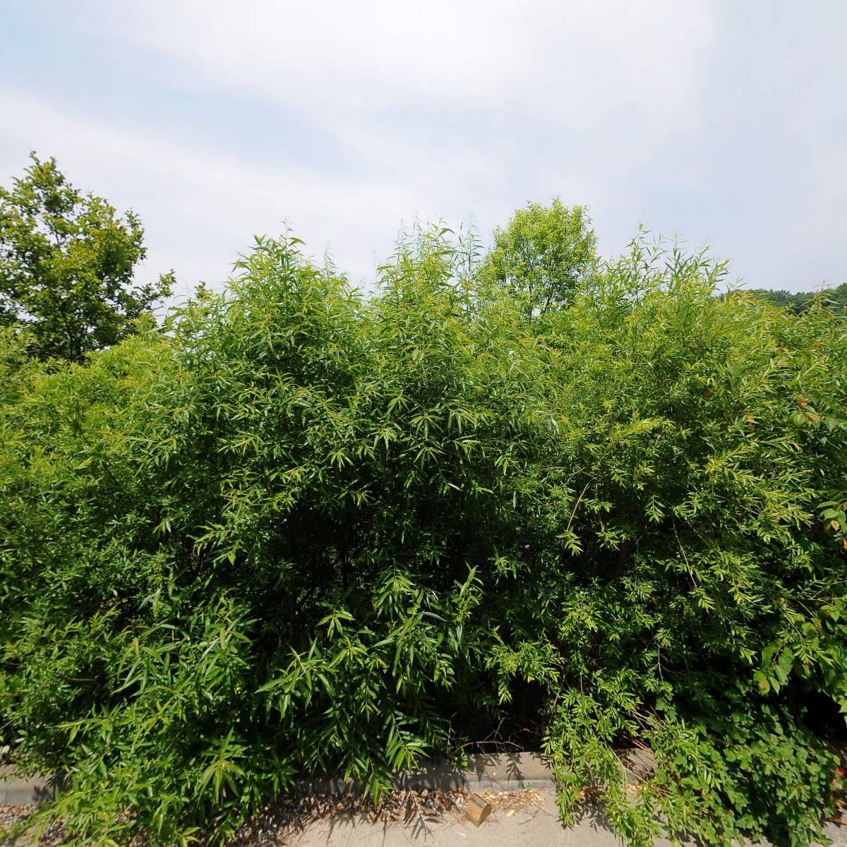 주식회사 삼일산업