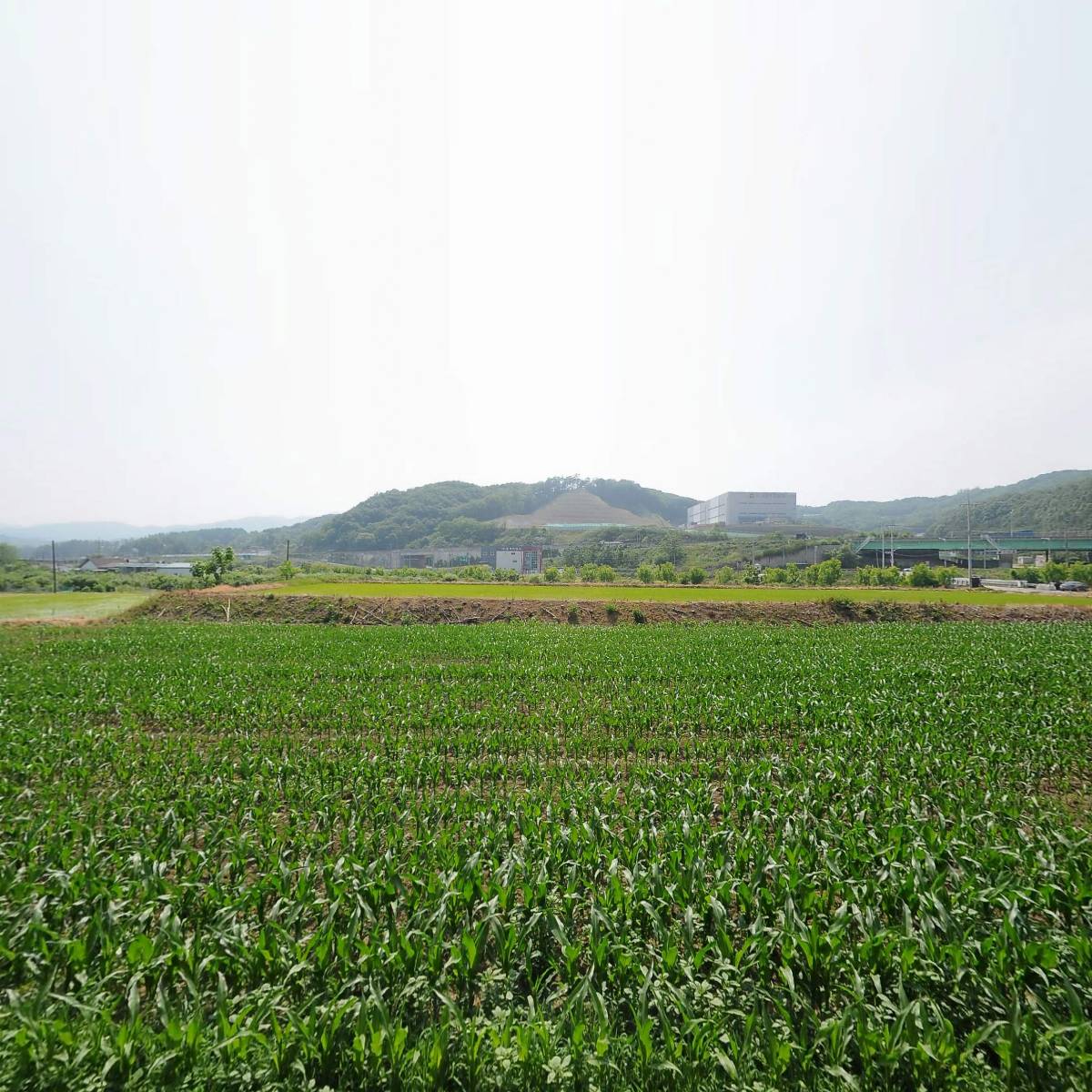 태성산업