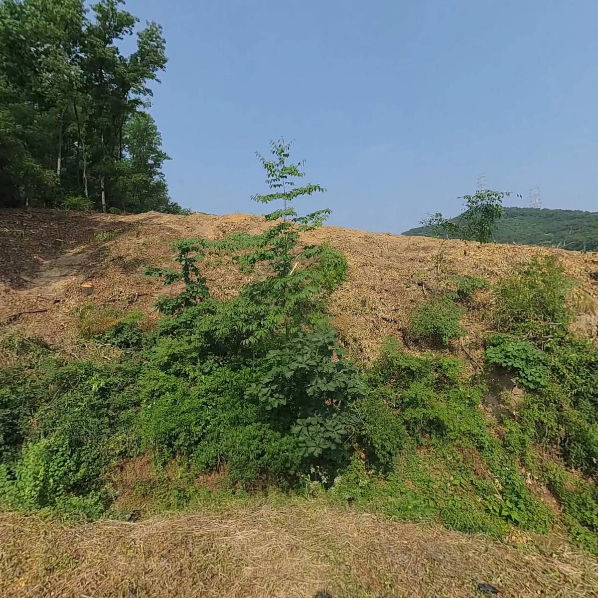 안근섭/임대