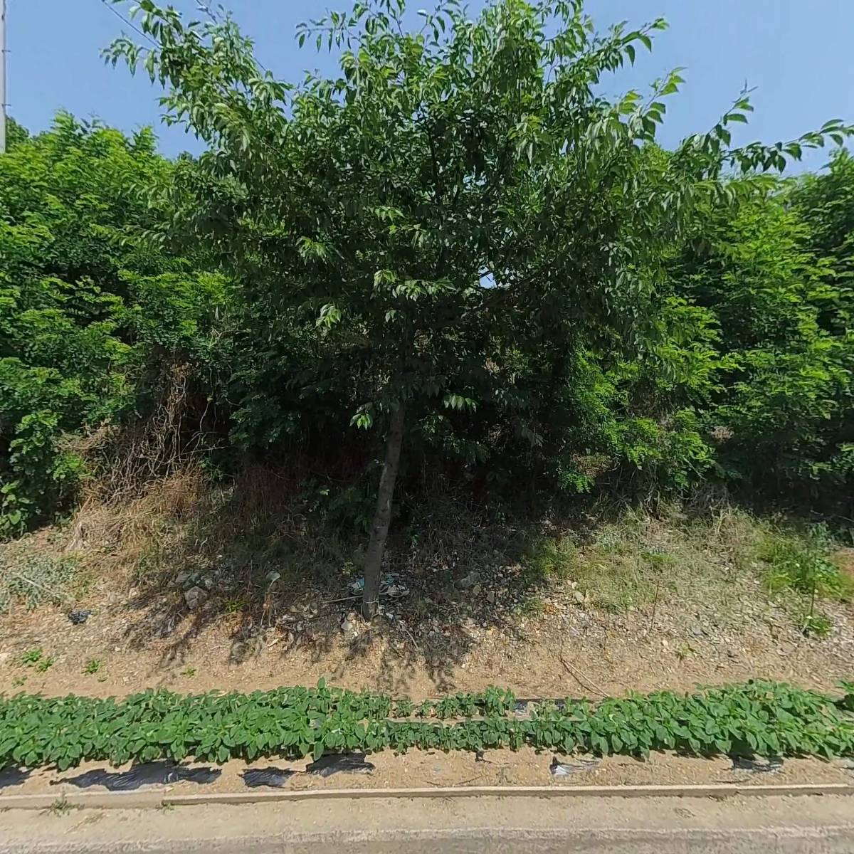 (주) 태광글로벌_3