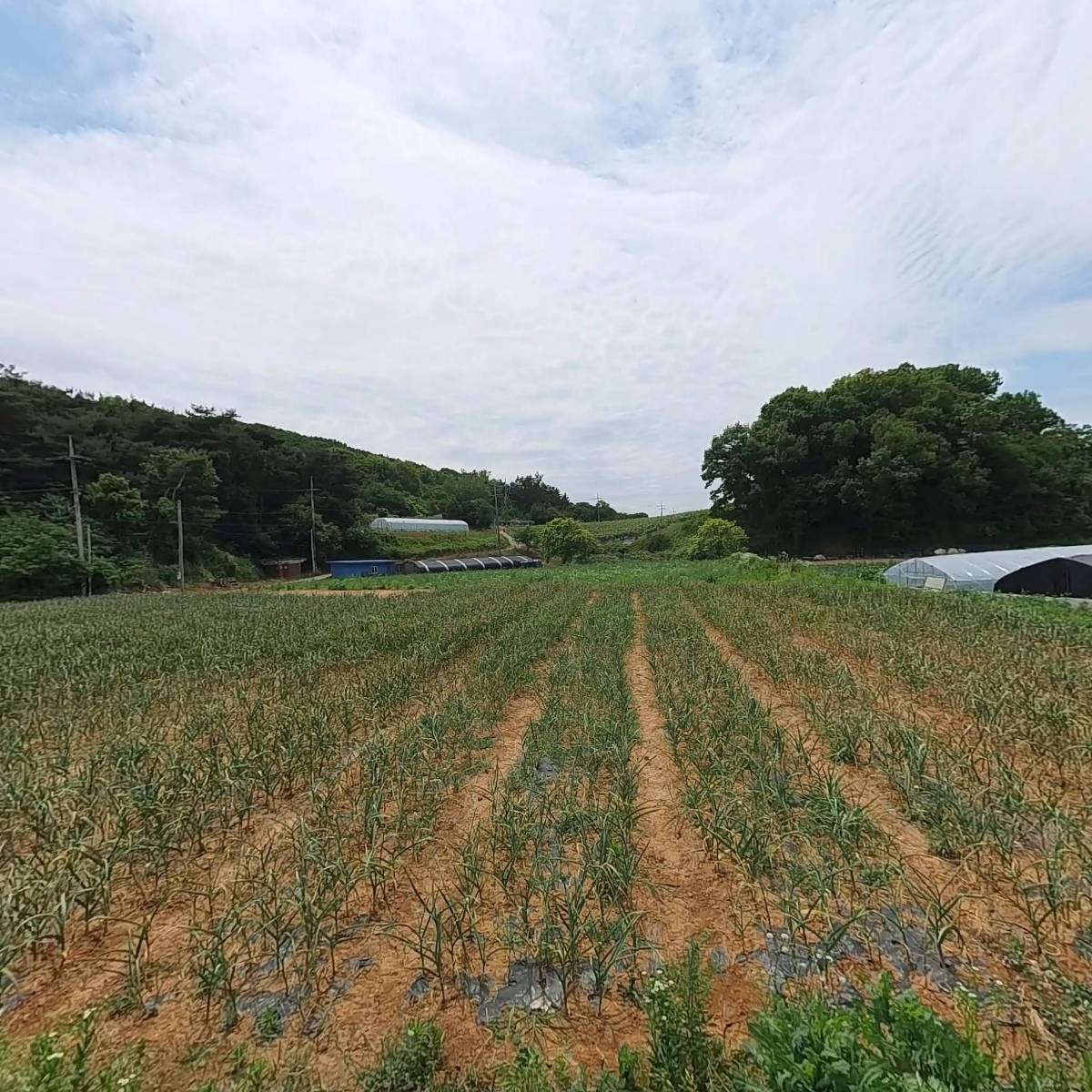 삼백영농조합법인