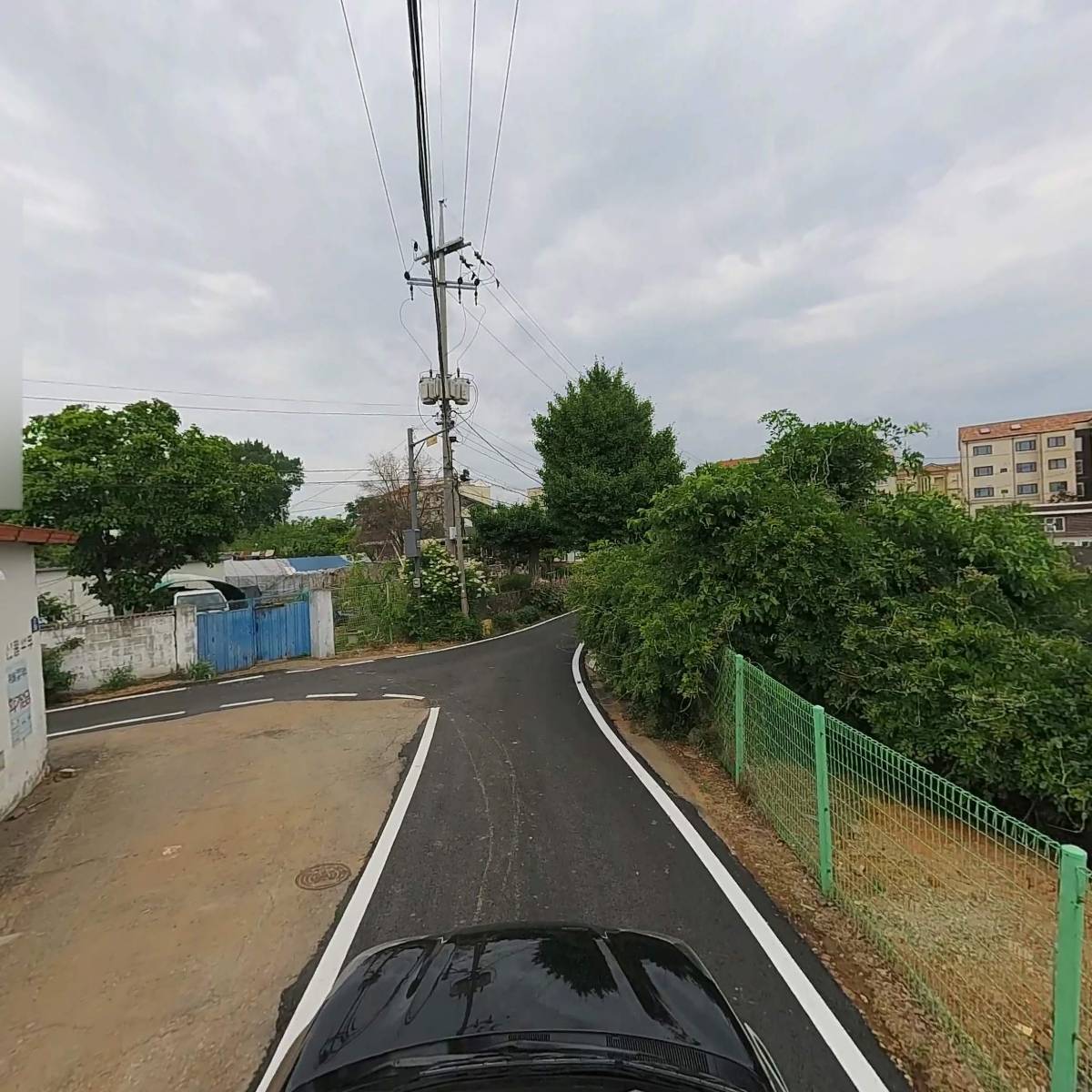 놀다가개_4