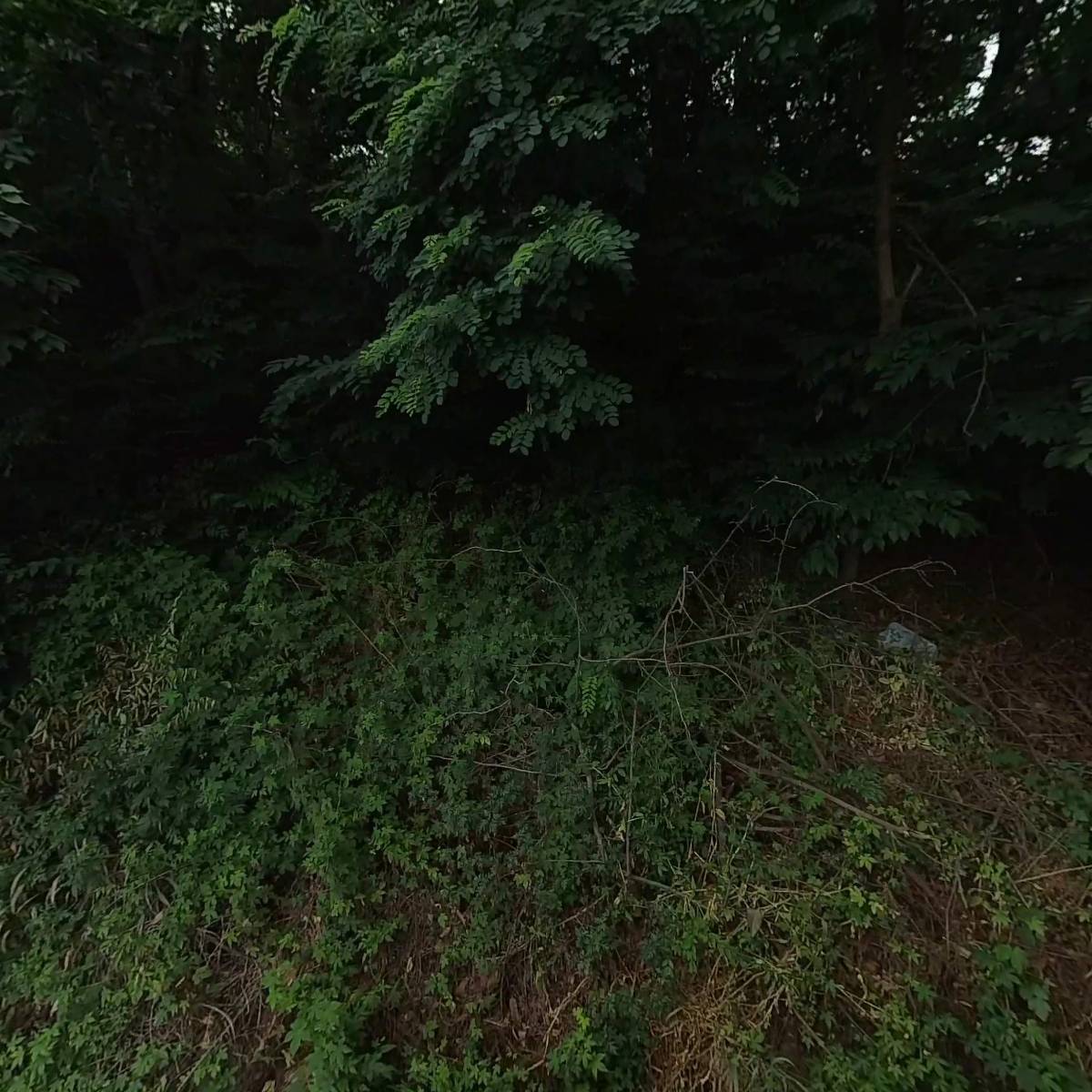 (주)보림로지스틱스천안_3