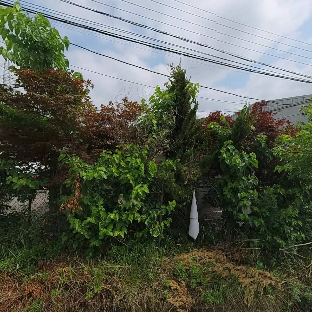 올래자동차정비사업소