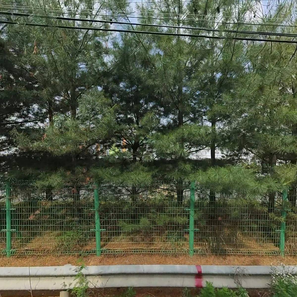 진성바이오(주)