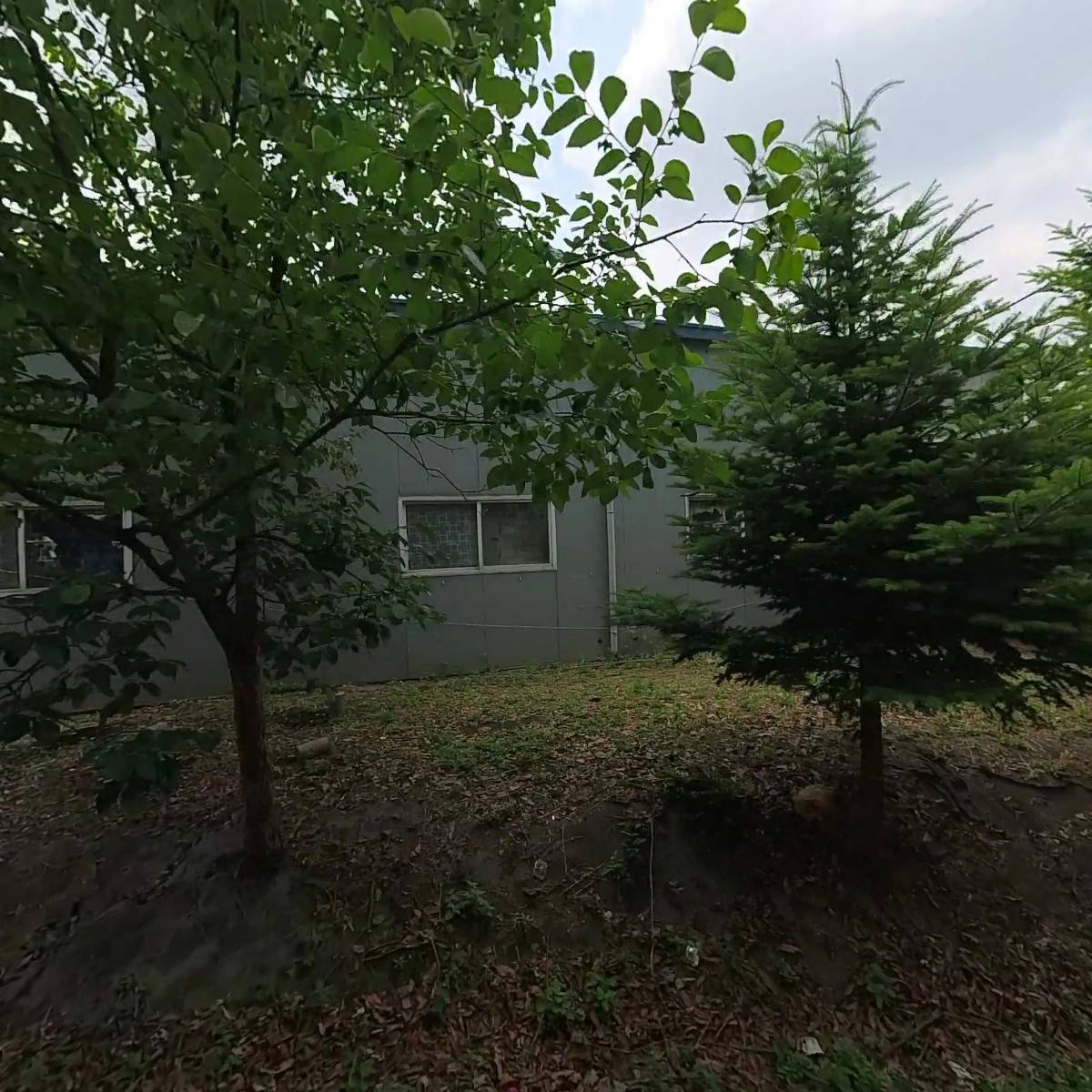 성신분체산업