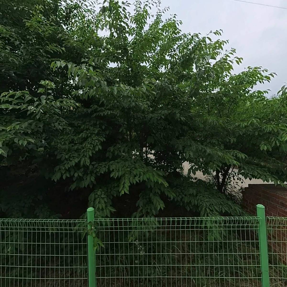 (주)나인