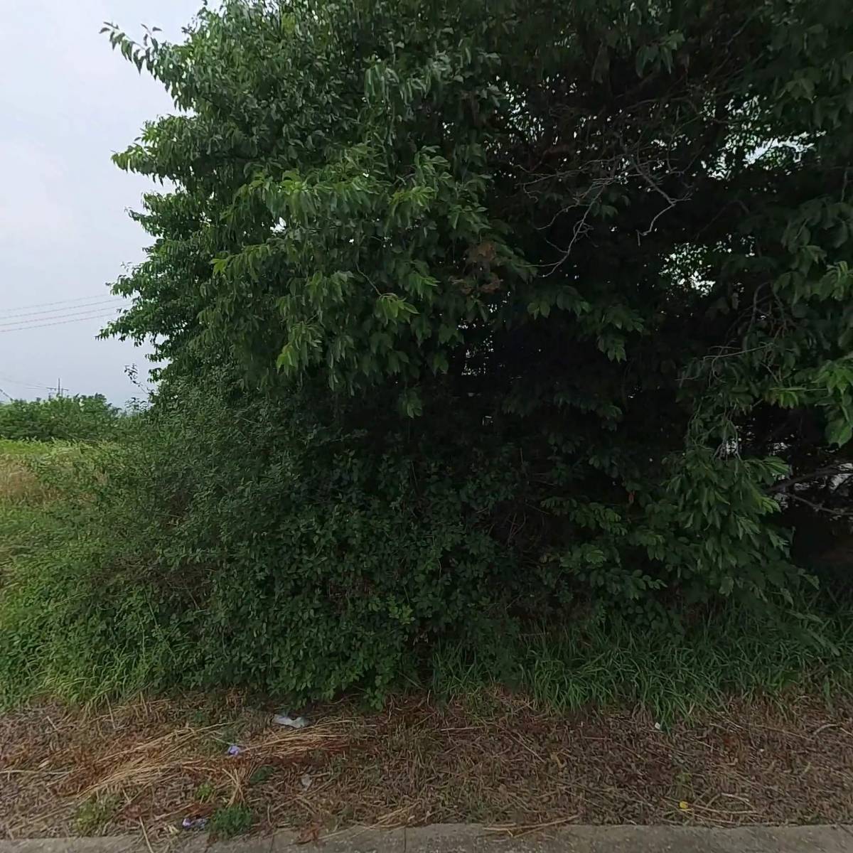 방주교회