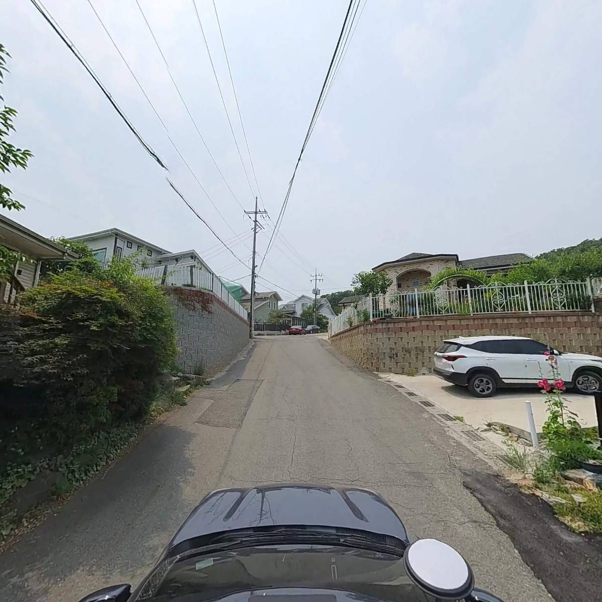 꽃돼지_4