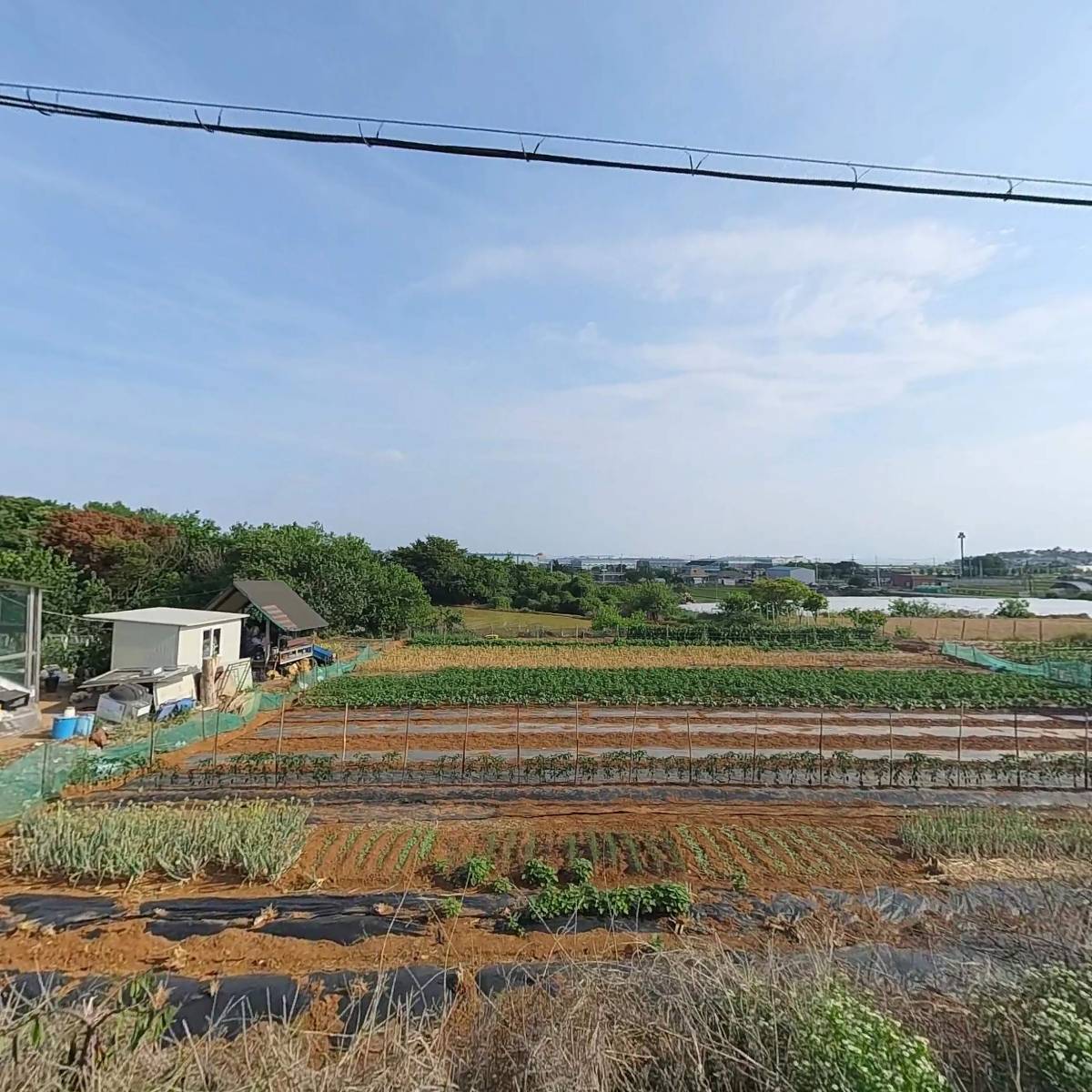 상효대리운전