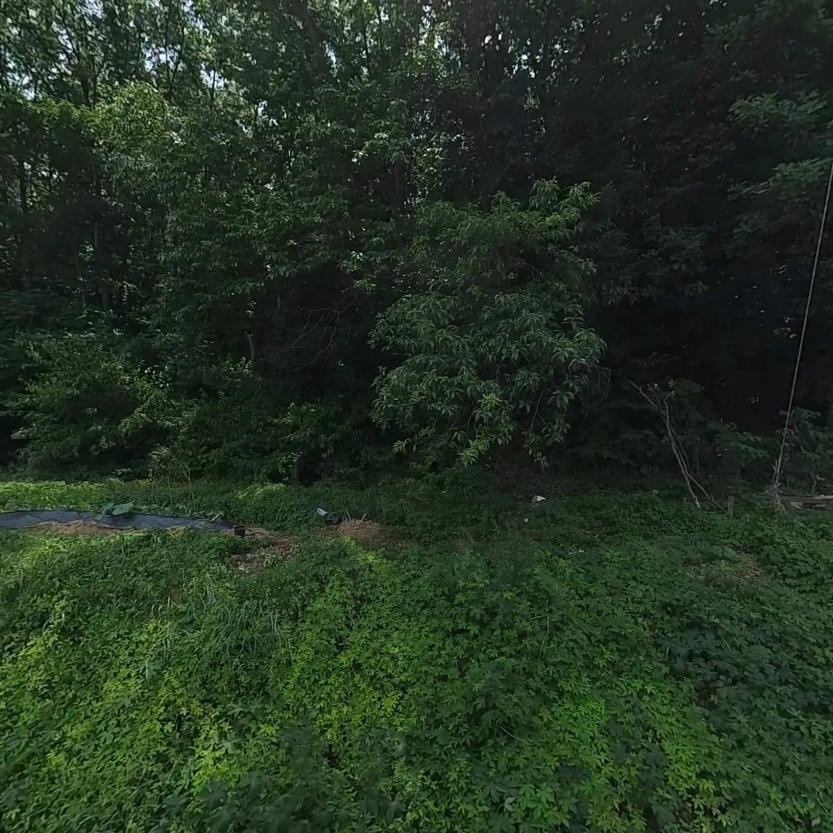 제일식품
