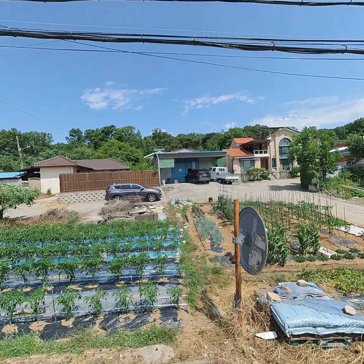 더블유에스케이