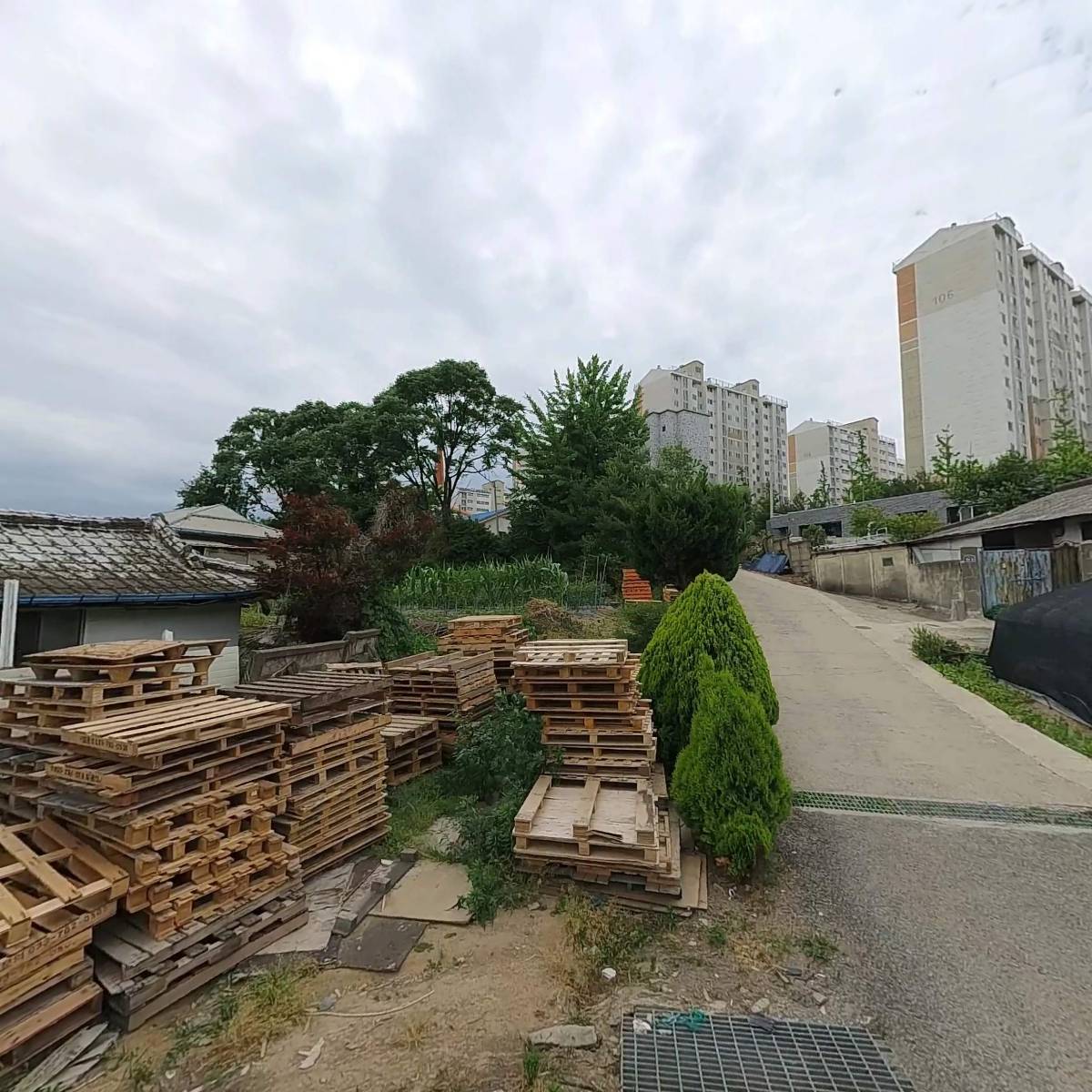 산토스쿨