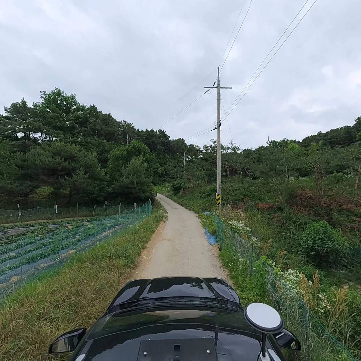미당_4