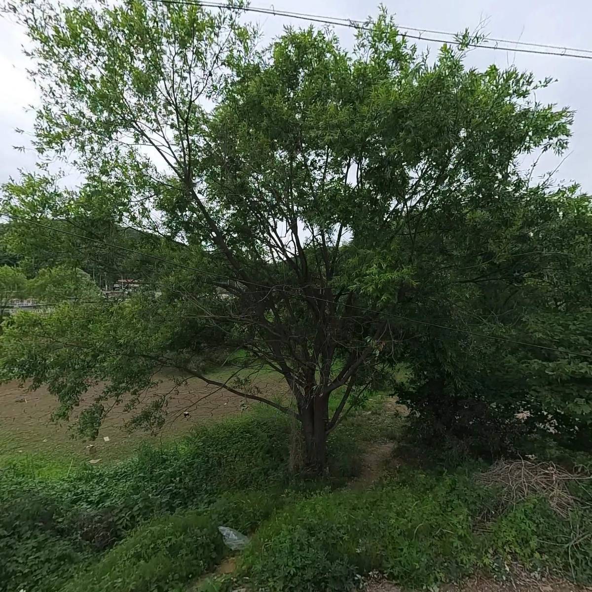 거꾸로천문대 주식회사