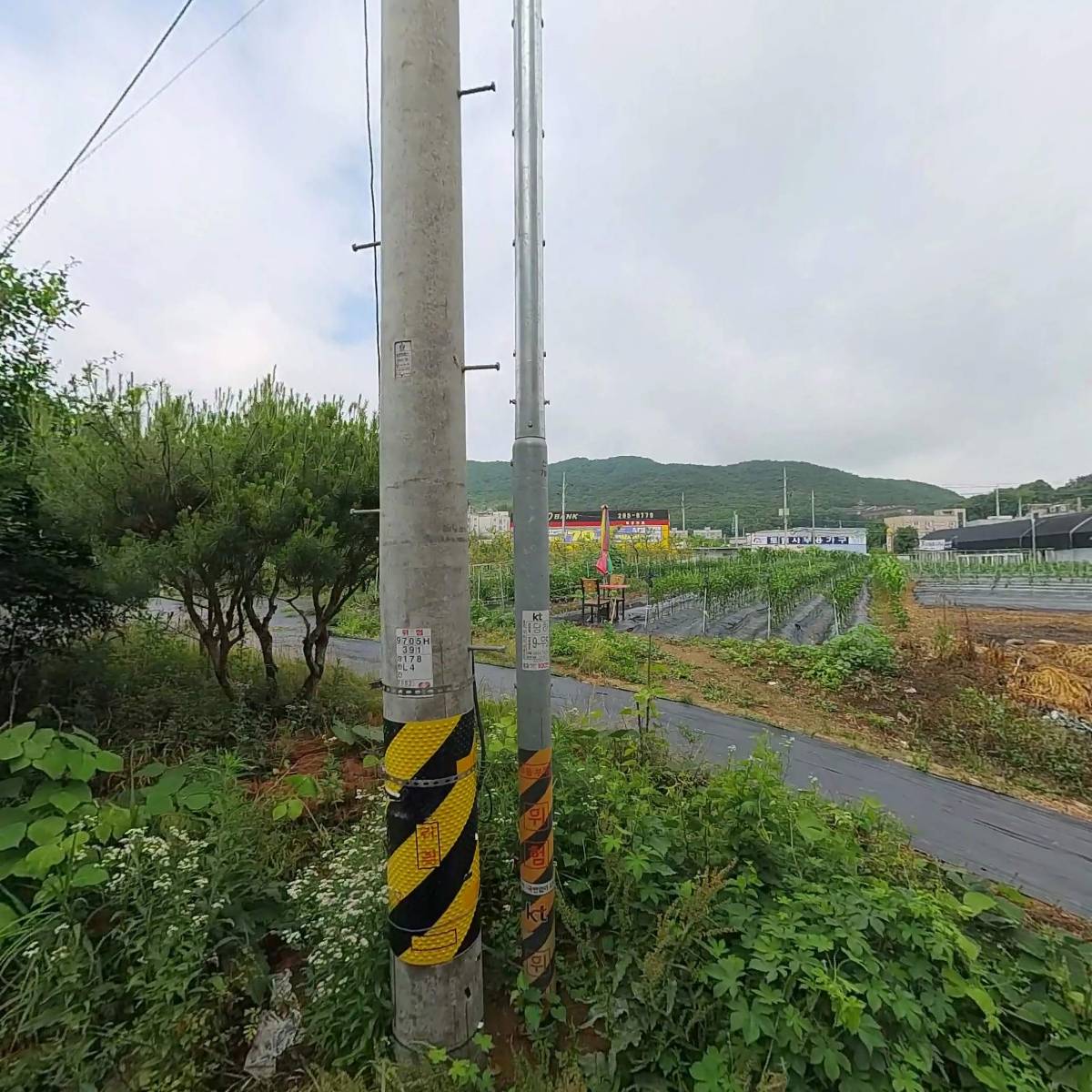 진영실업