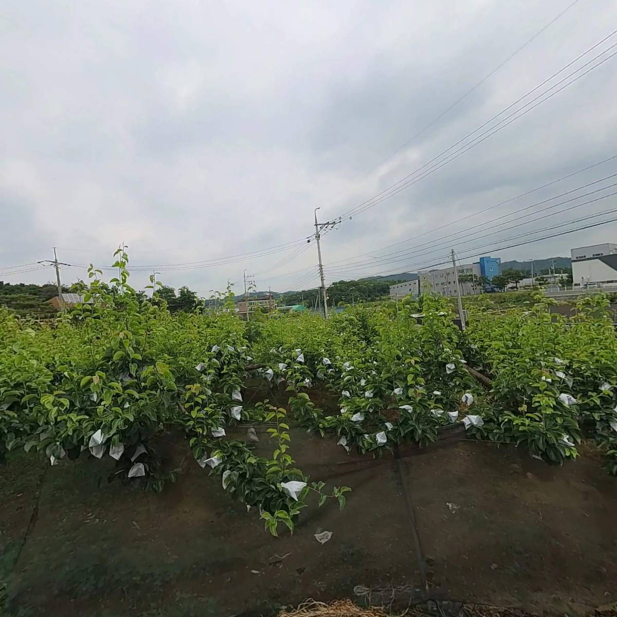 대한종합환경