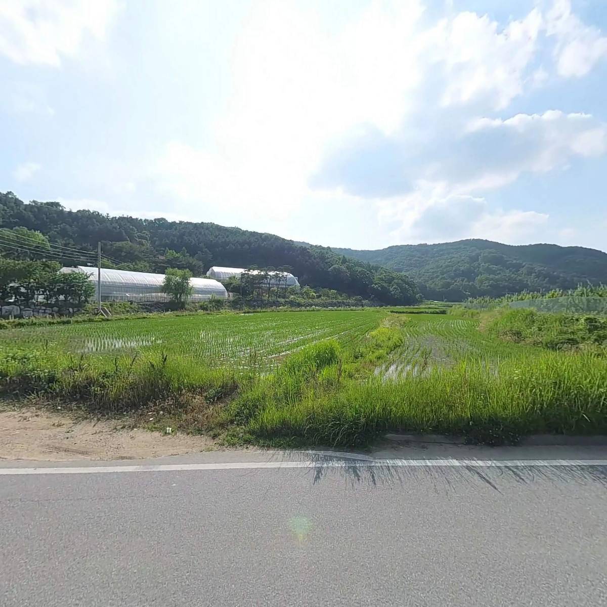 청와다육식물원_3