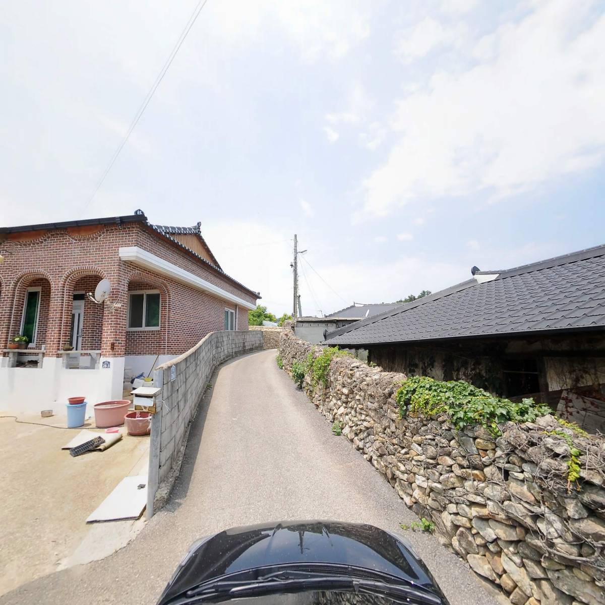 내장산꾸지뽕농장_4