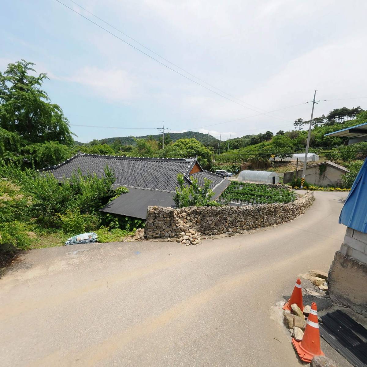 내장산꾸지뽕농장_2