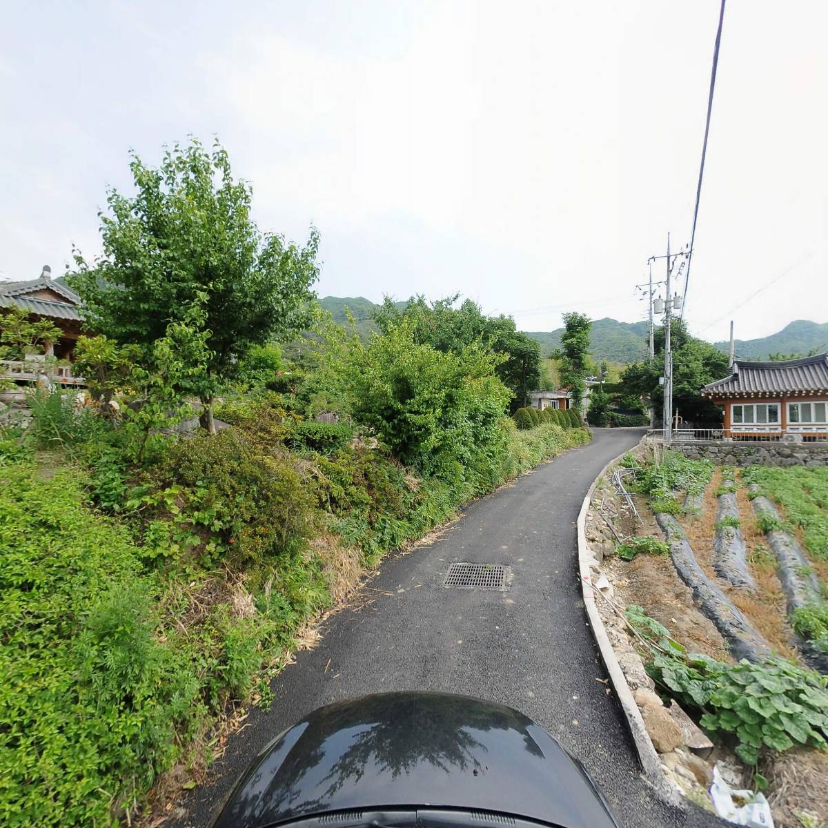 지리산숲으로협동조합_4