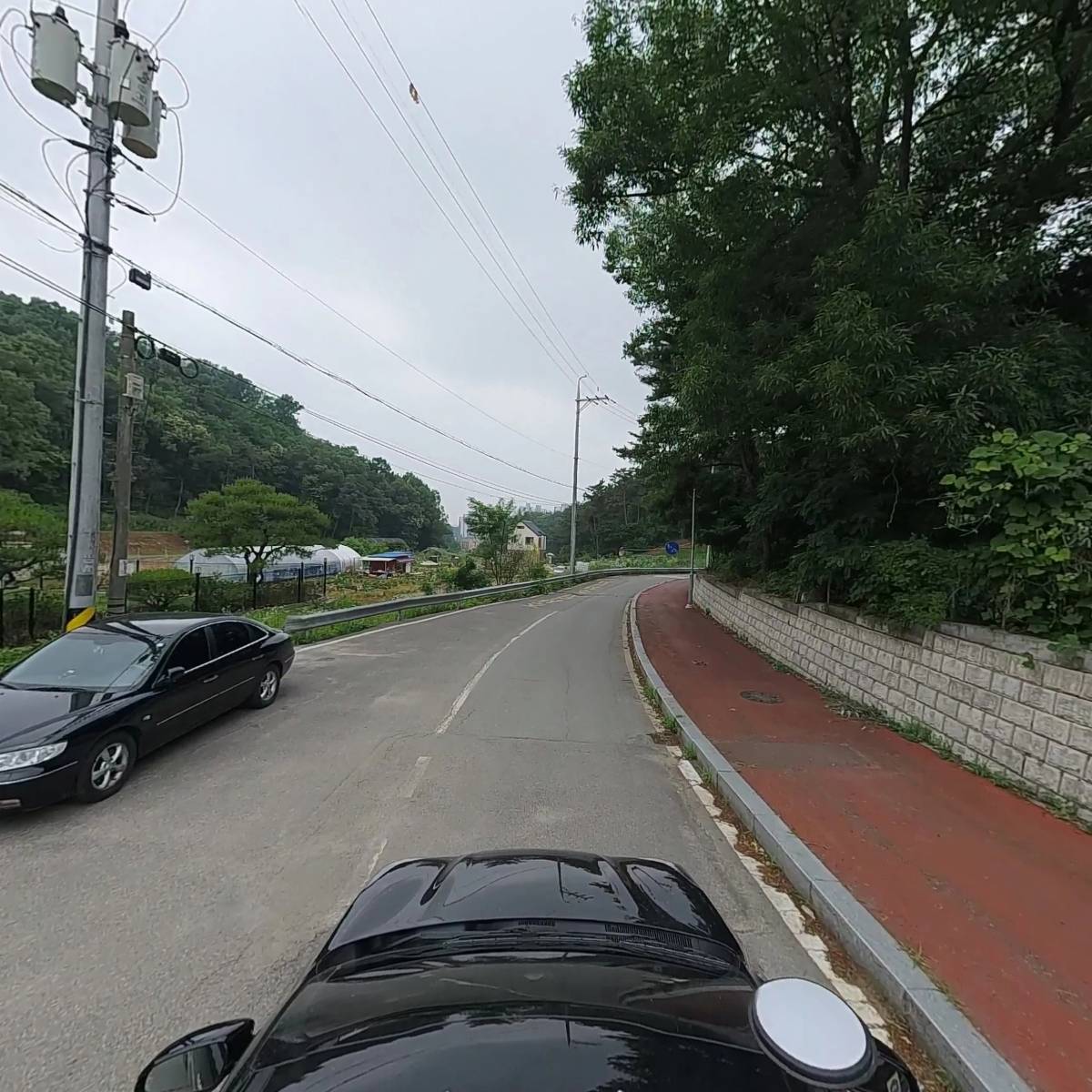 복숭아꽃살구꽃_4