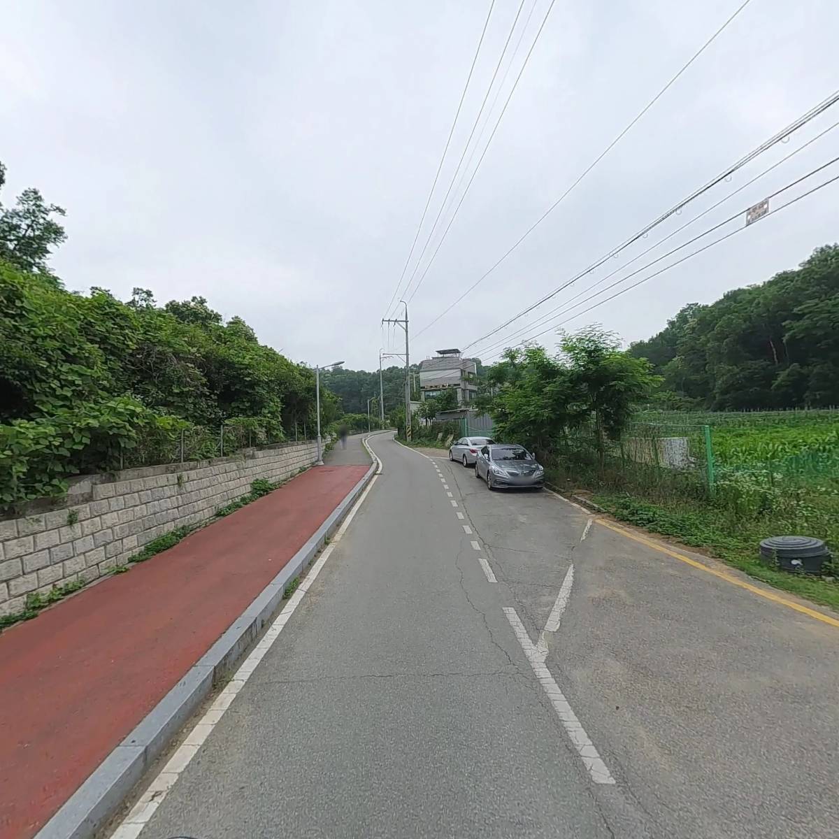 복숭아꽃살구꽃_2
