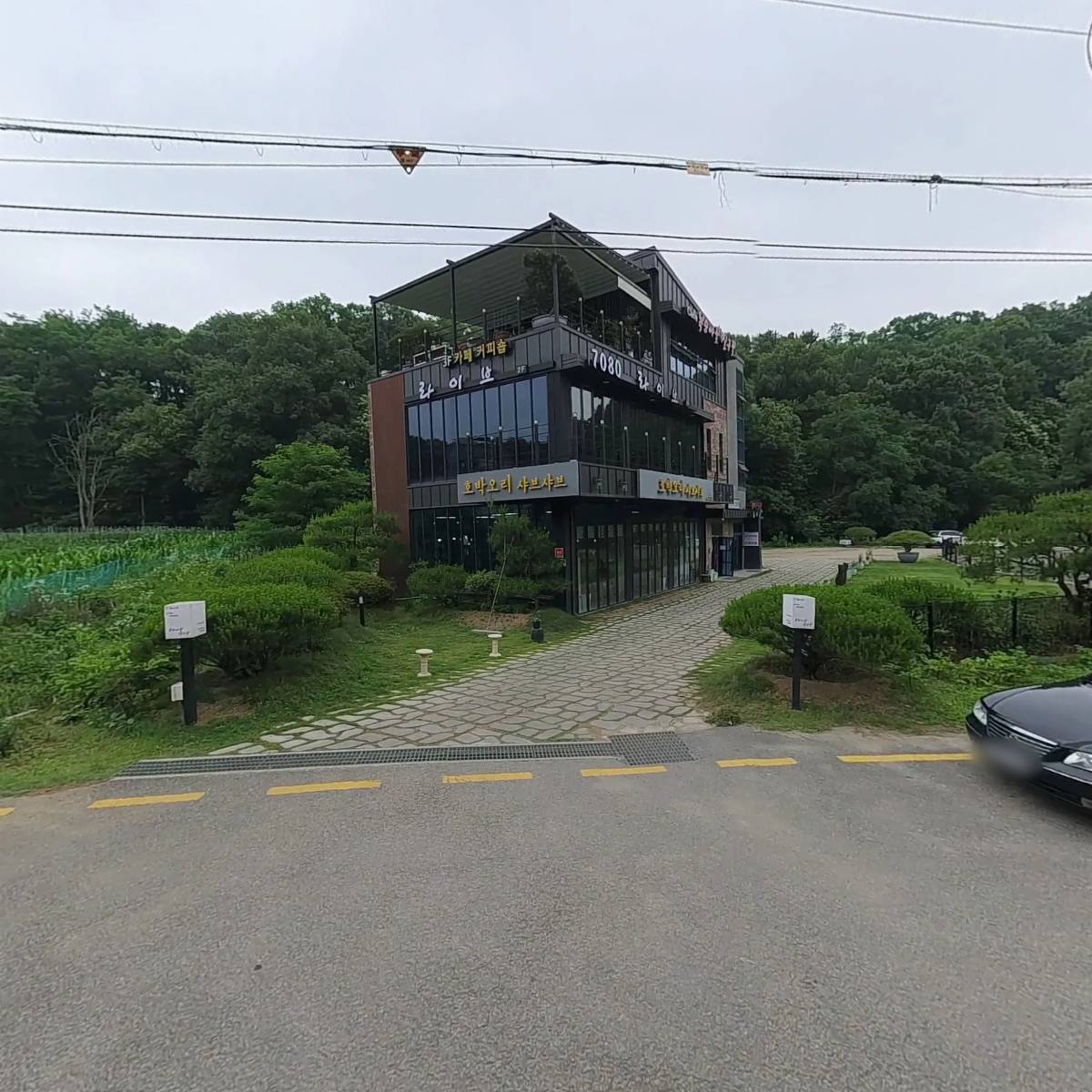 복숭아꽃살구꽃_3