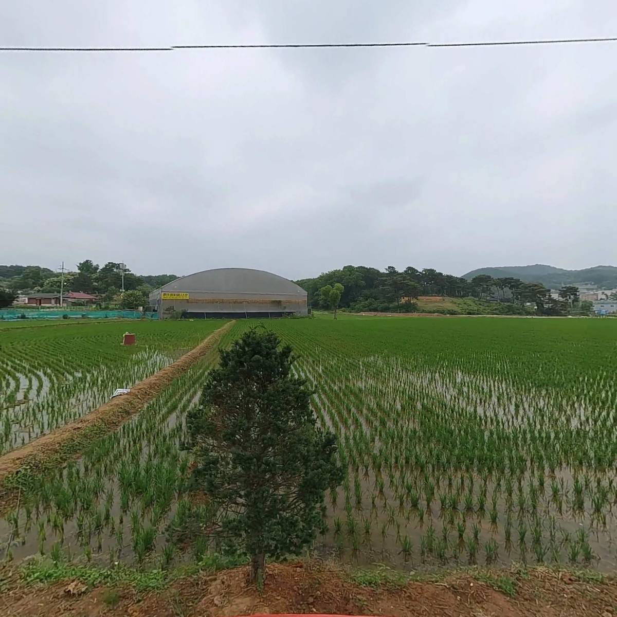 주식회사 태평그린바이오텍