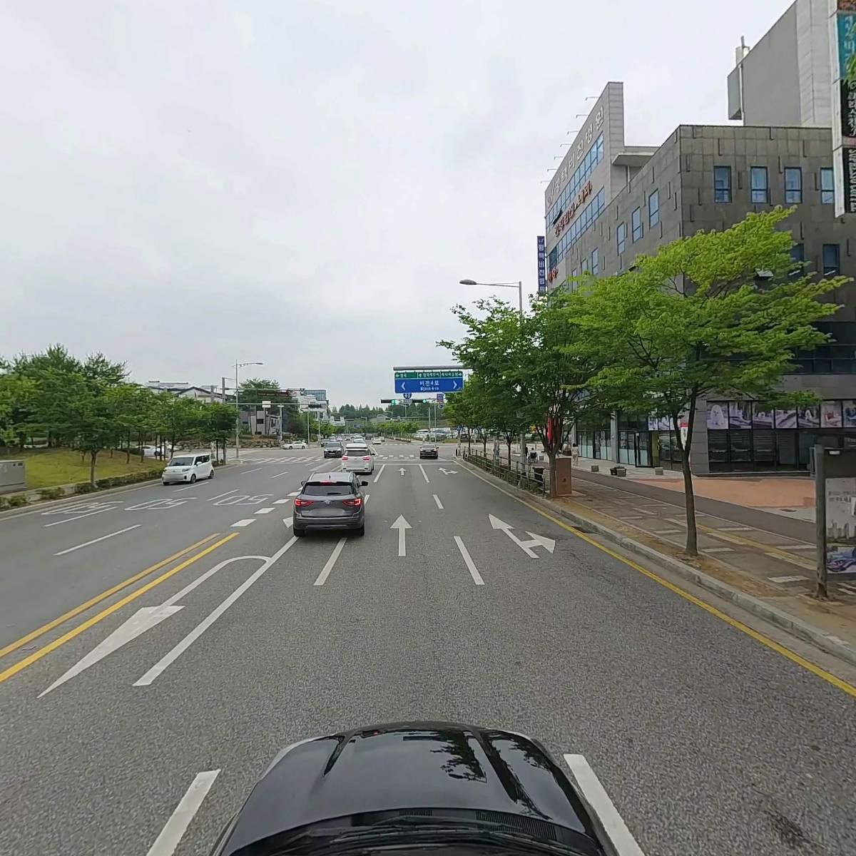 펫밀리하우스_4