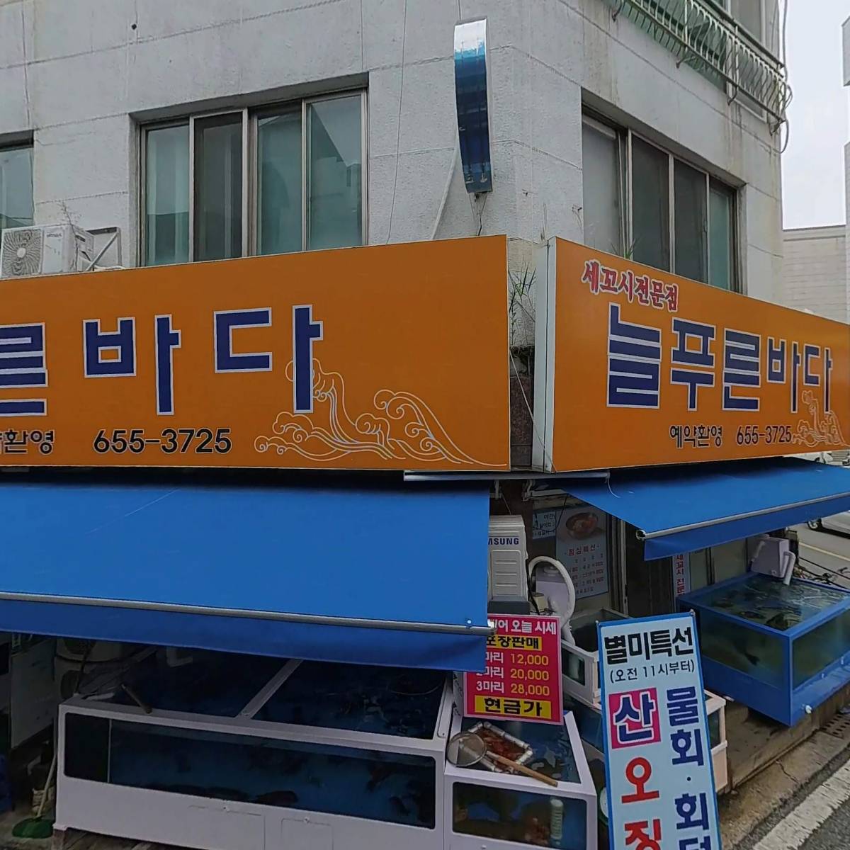 늘푸른바다