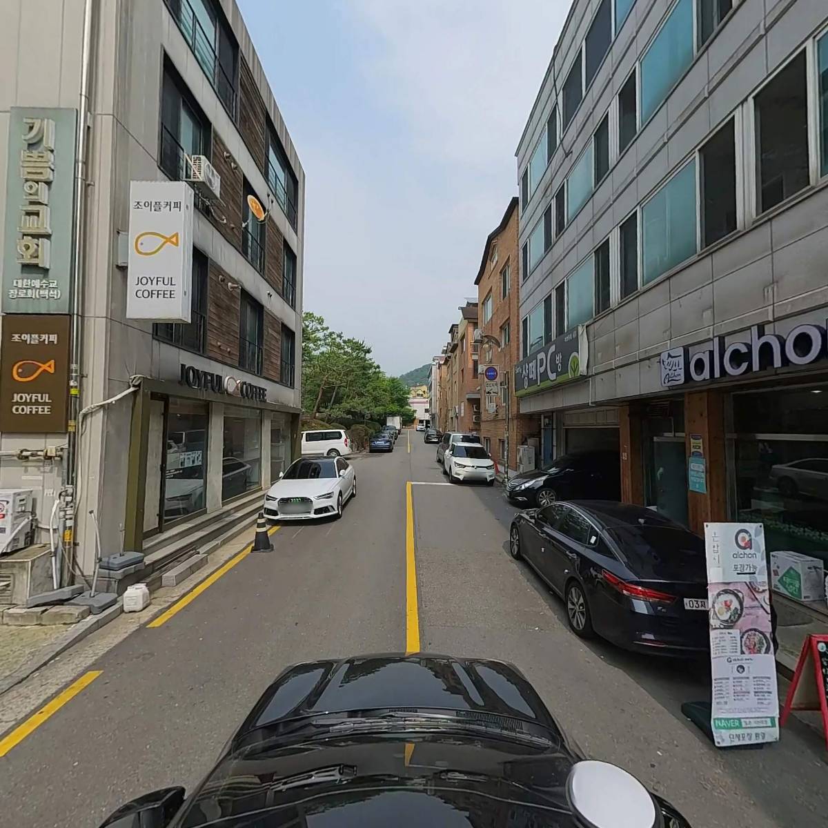 올리브276_4