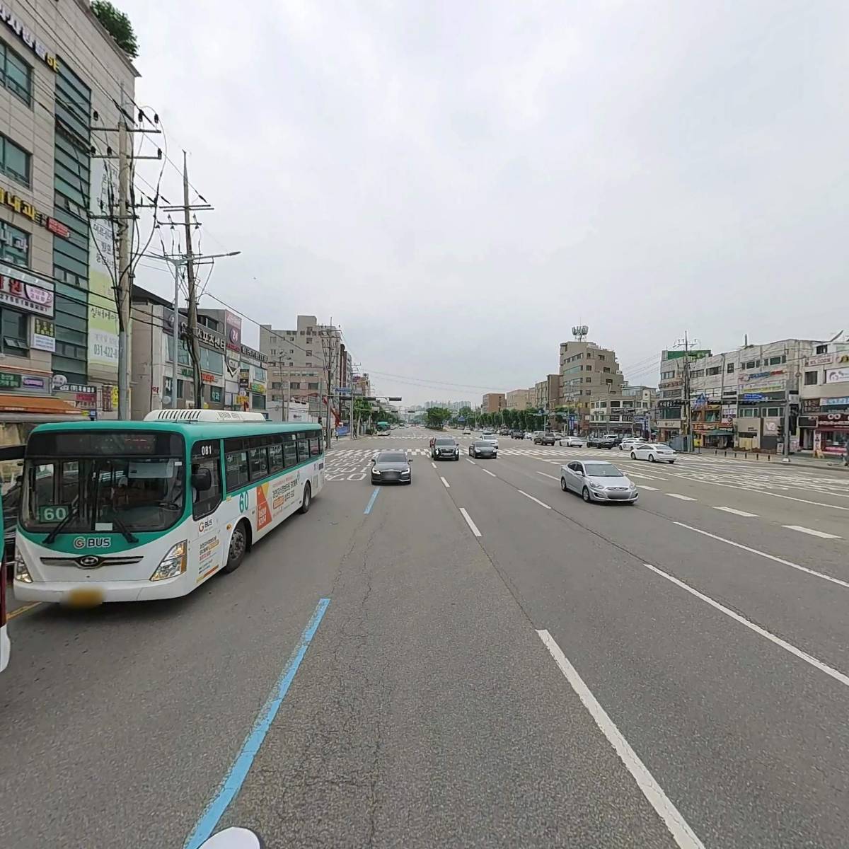 선진모피_2