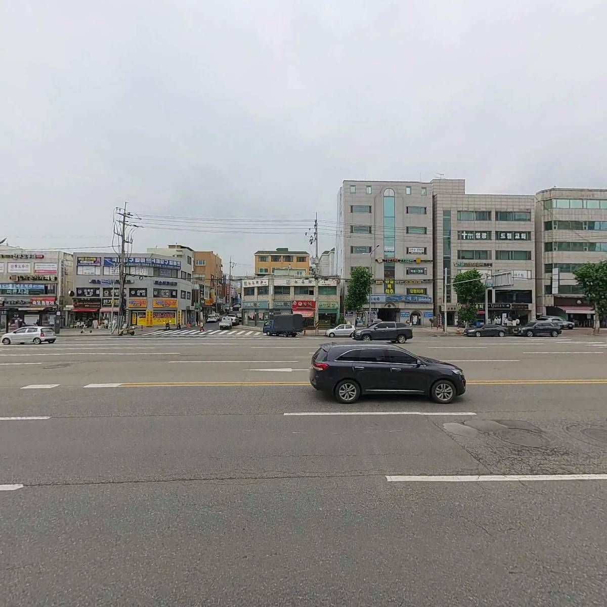 선진모피_3