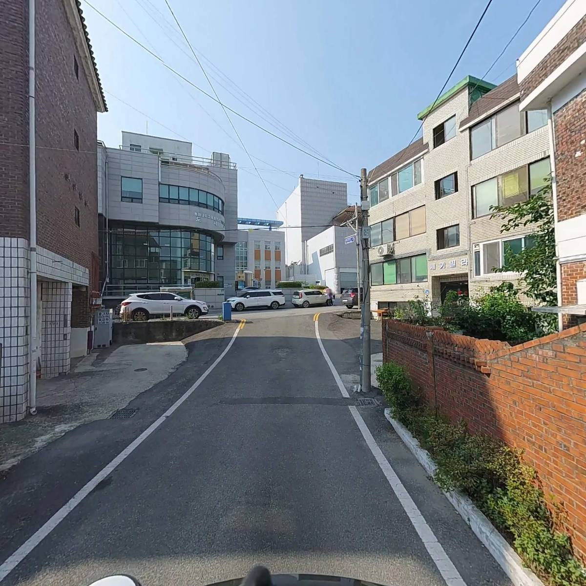 다우림 한방꽃차_2