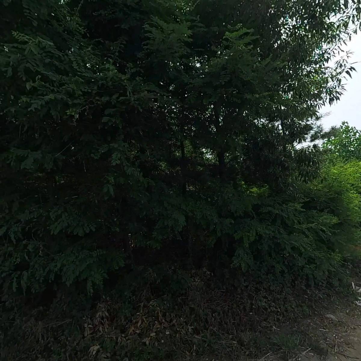 일성프라테크