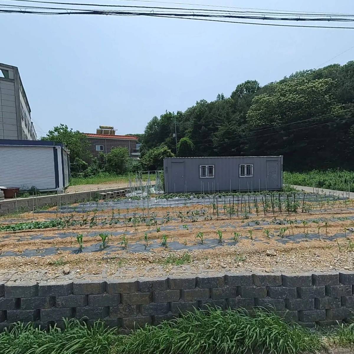 에프알디_3