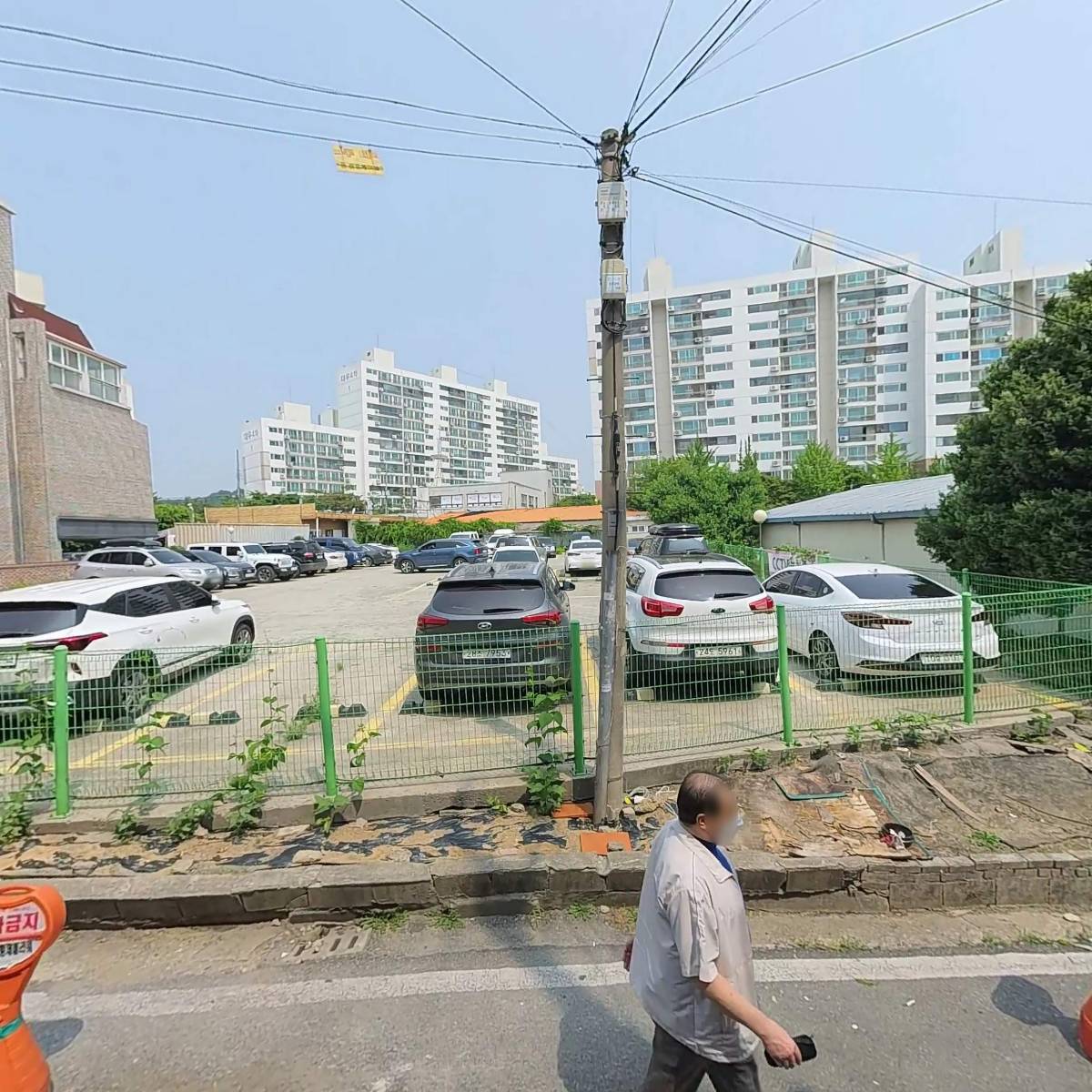 황제플라워