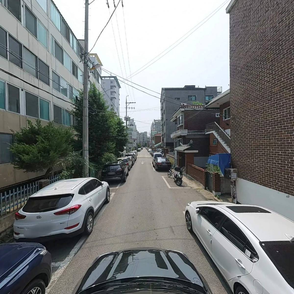 디자인이슈_4