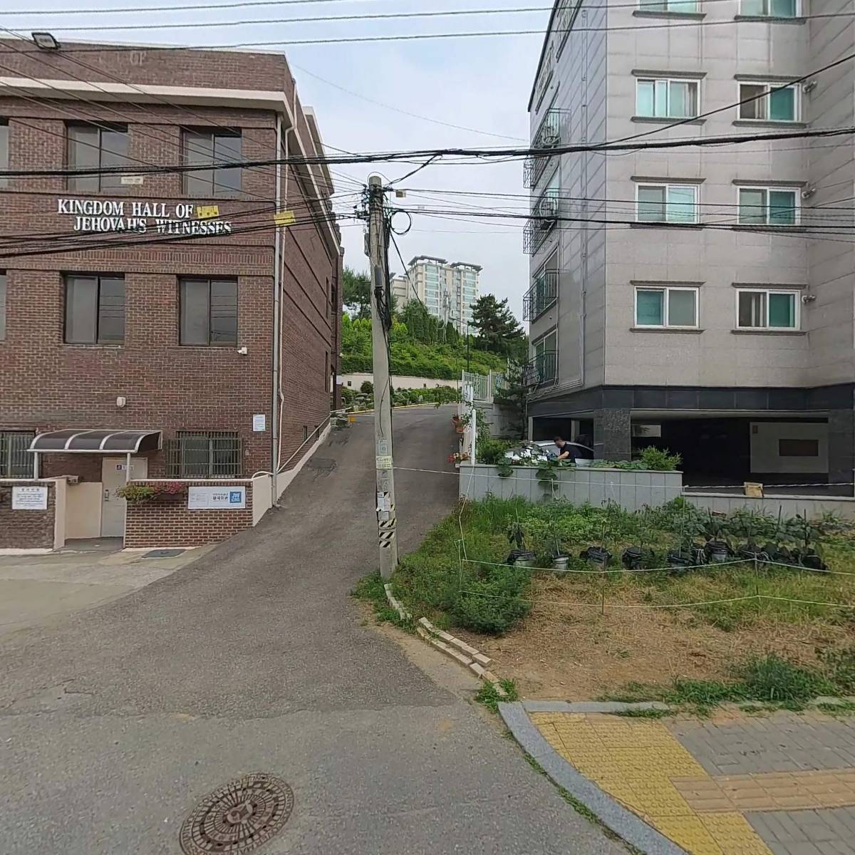 라이프체인저