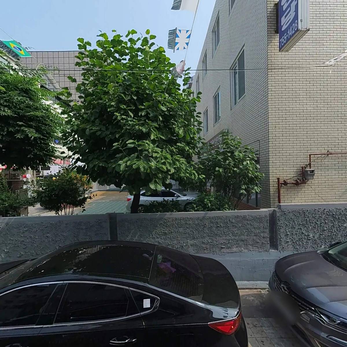 아레스니트