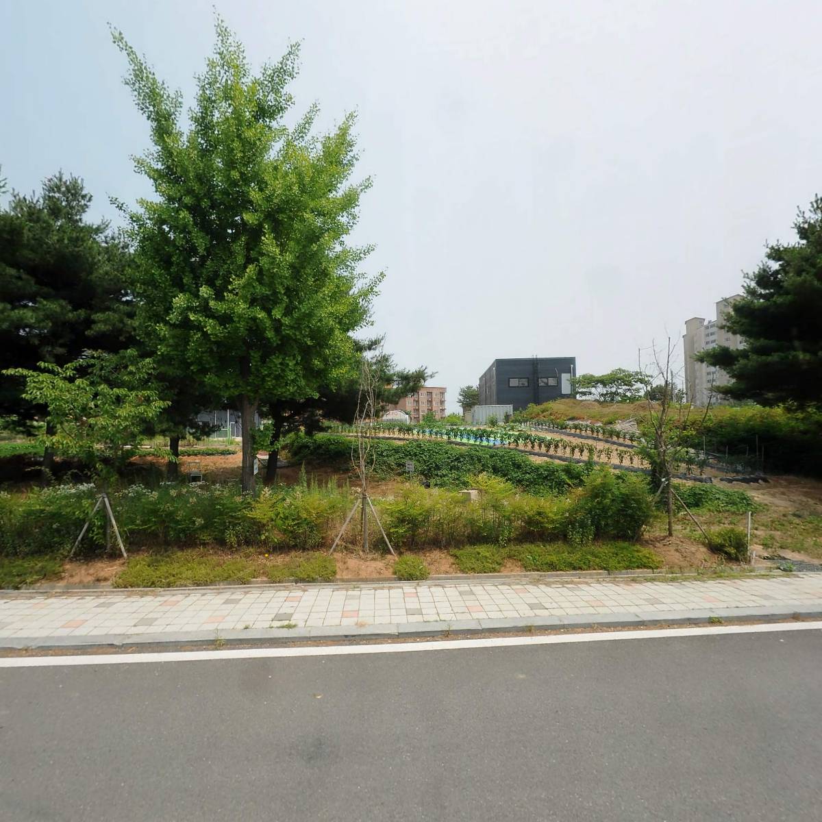 와이엠피(주)_3