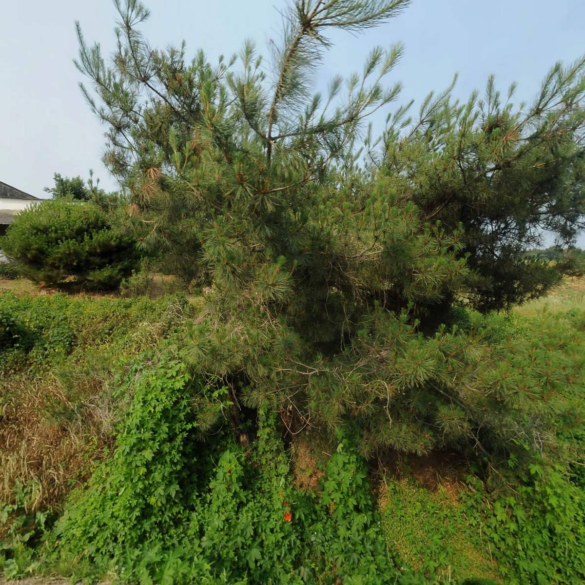 큐씨디북천안물류(주)_3