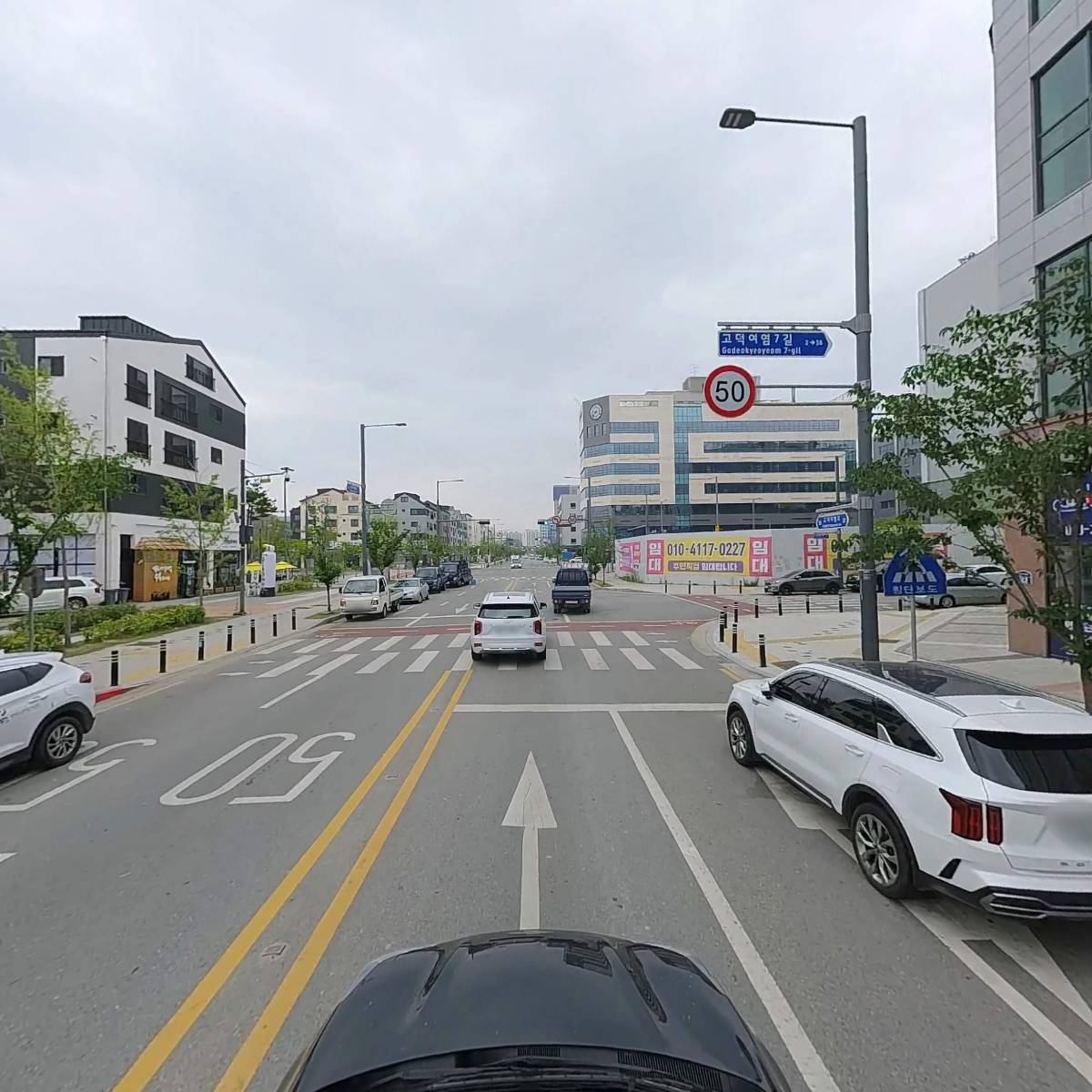 산호초 활어회_4