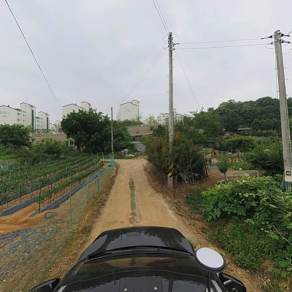 팀버코리아_4