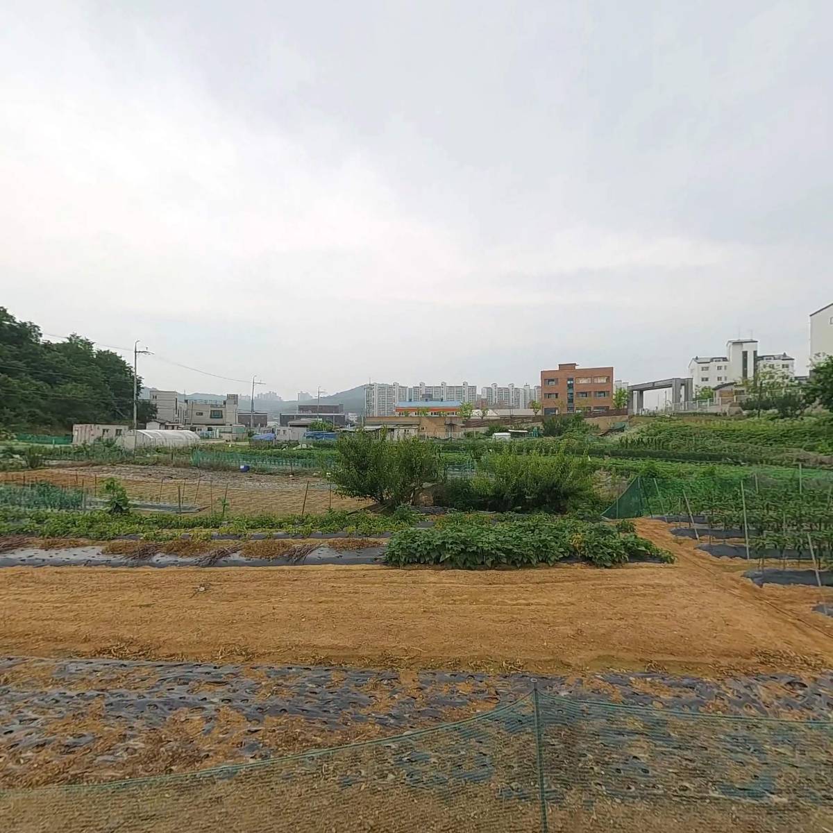 팀버코리아_3