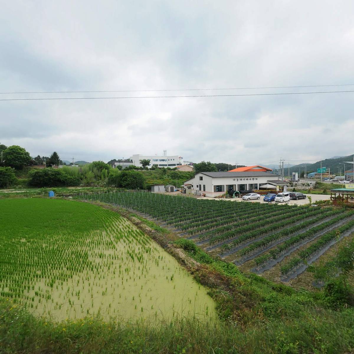 진안군청 예수대학교 간호학부 동문회