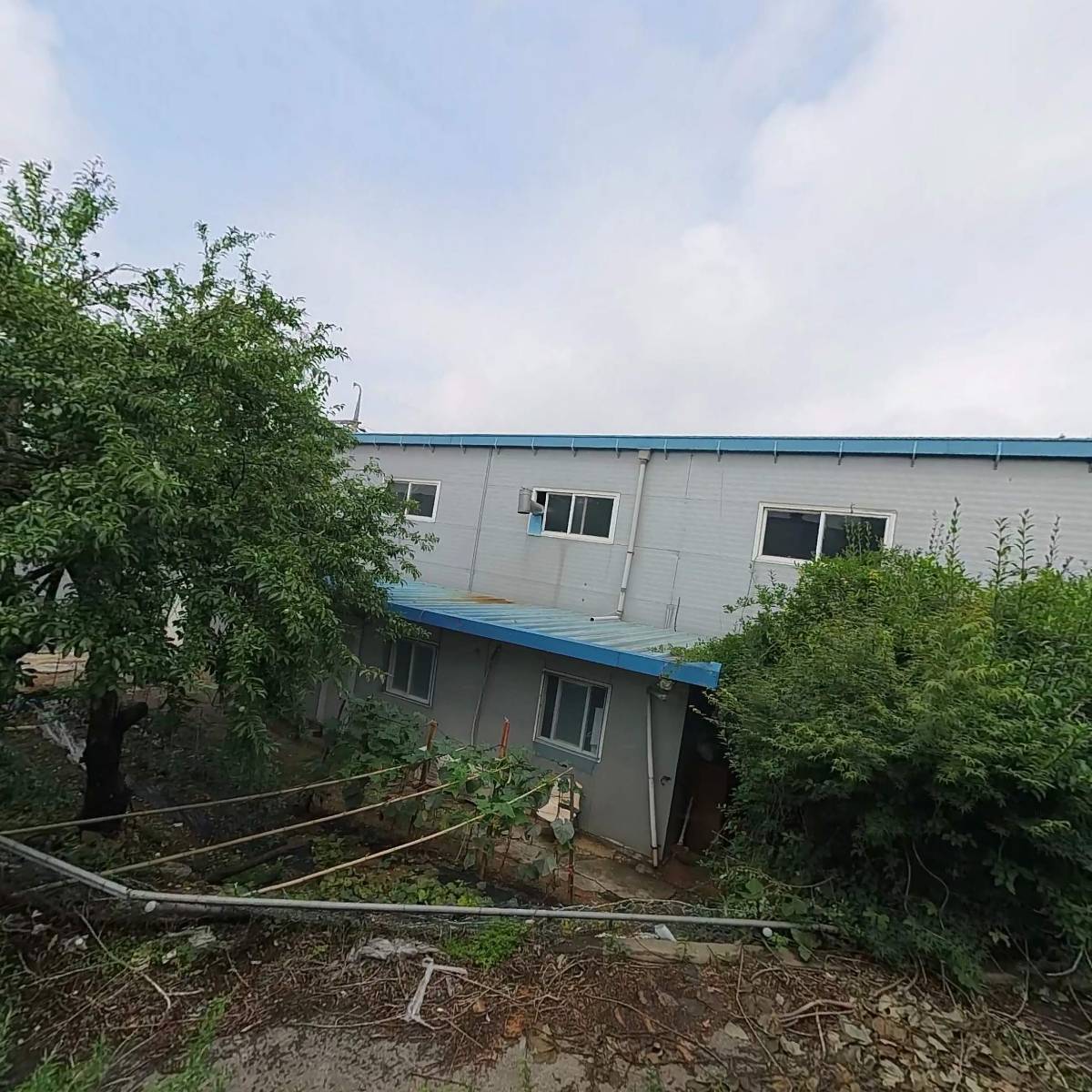 (주)라미넥스