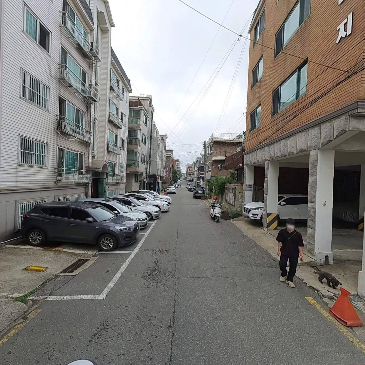 닥터온더스트릿_2