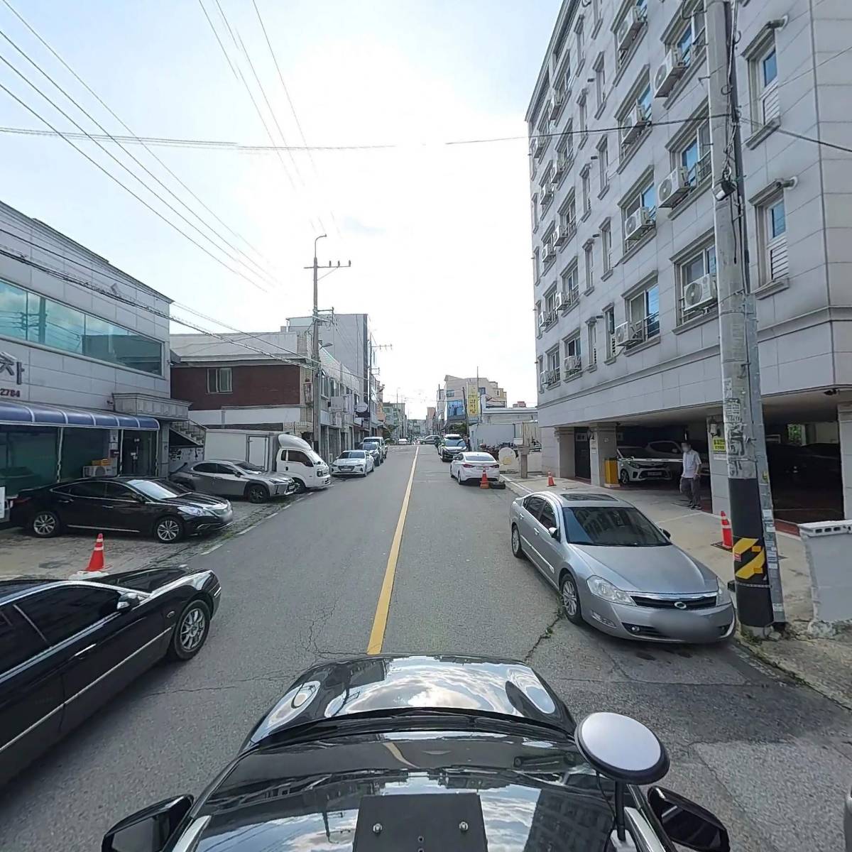 고선_4